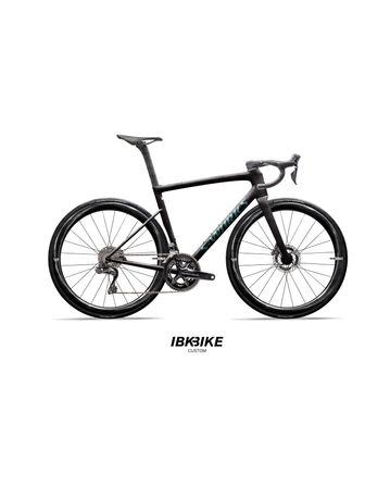 S-Works Tarmac SL8 Dura-Ace Di2 Custom IBK 2026 Raw Carbon/Gloss Premium Fjord