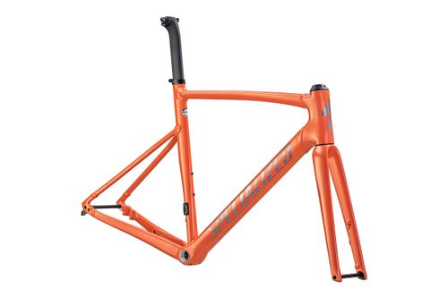 Allez Sprint Cadre Specialized 2023 Gloss Cactus Bloom/Holographic Foil