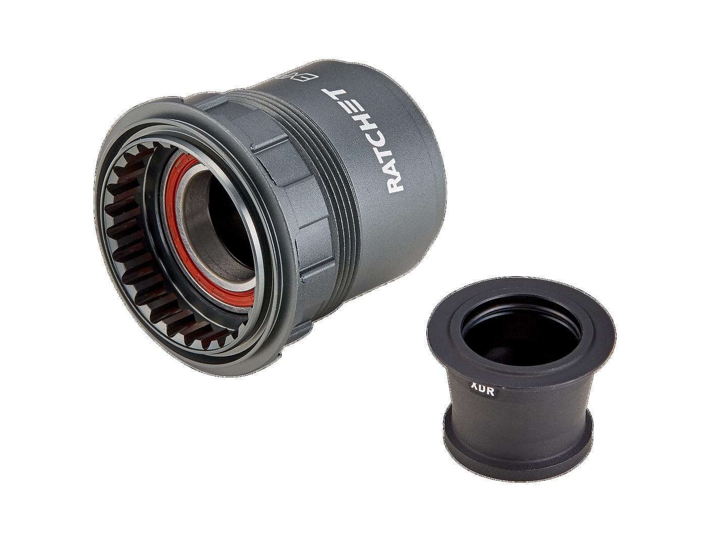 Sram XDR Freehub DT240 Standard Bearing 142x12mm Ratchet EXP IBKBike